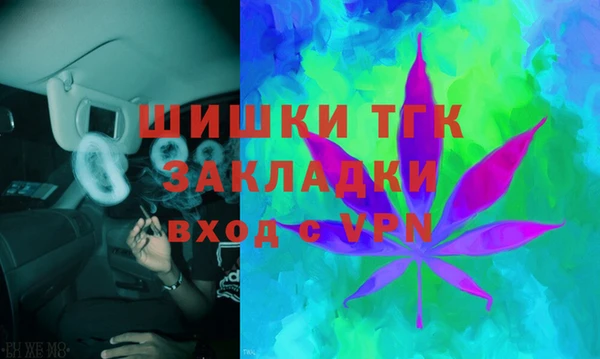 бошки Алексин