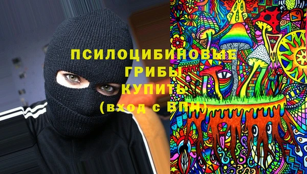 бошки Алексин